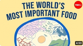 Why is rice so popular? - Carolyn Beans