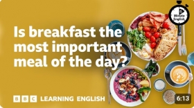 Is breakfast the most important meal of the day?