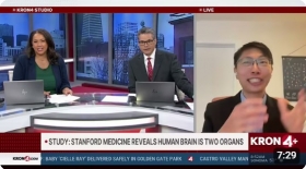 Stanford Medicine reveals human brain is two organs
