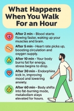 What happens when you walk for an hour
