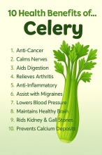 Celery