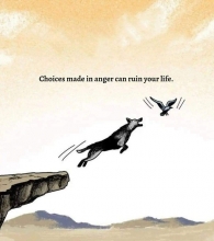 Choices made in anger ...