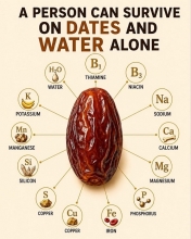 DATES